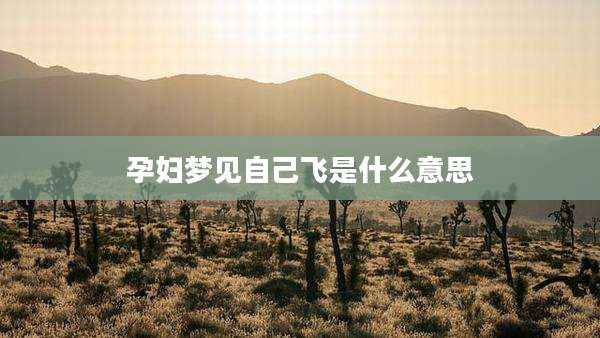 孕妇梦见自己飞是什么意思