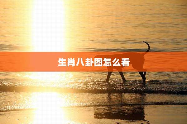 生肖八卦图怎么看