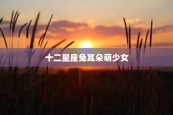 十二星座兔耳朵萌少女