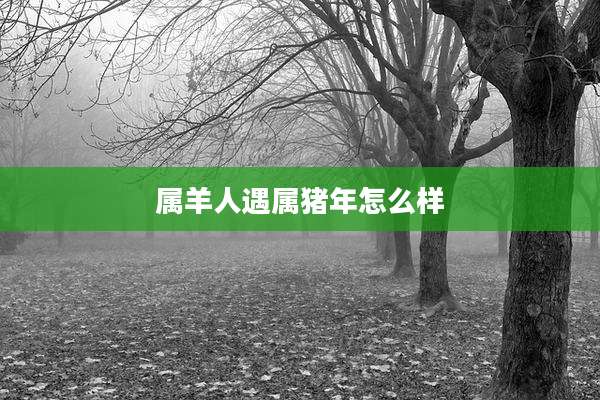 属羊人遇属猪年怎么样