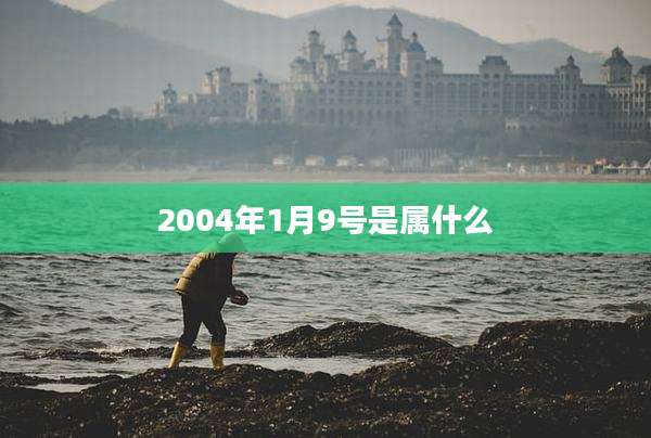 2004年1月9号是属什么