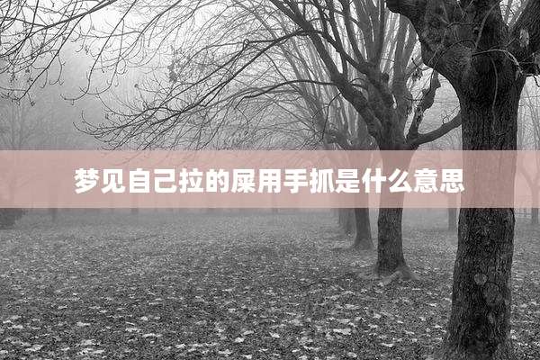 梦见自己拉的屎用手抓是什么意思