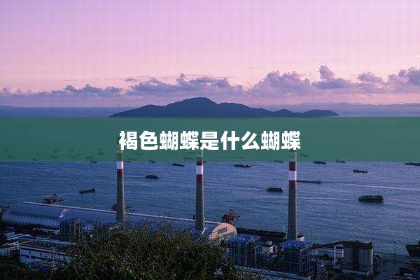 褐色蝴蝶是什么蝴蝶