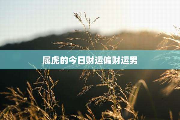 属虎的今日财运偏财运男