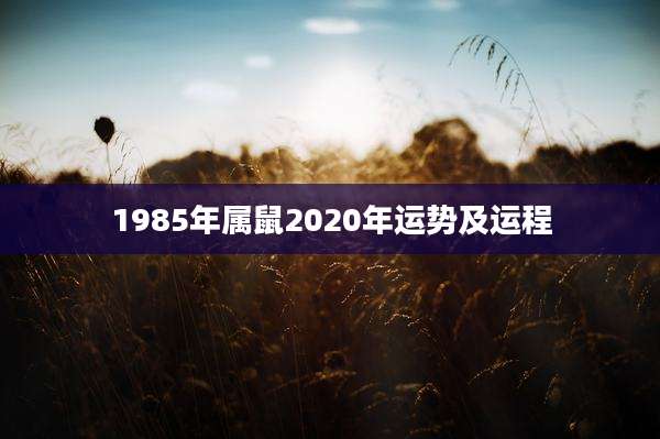 1985年属鼠2020年运势及运程