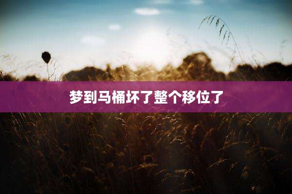 梦到马桶坏了整个移位了