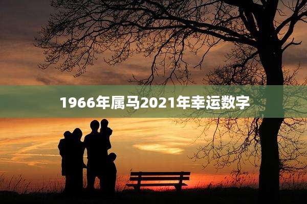 1966年属马2021年幸运数字