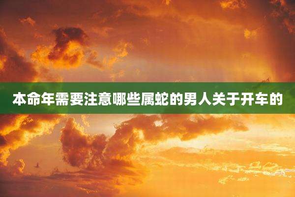本命年需要注意哪些属蛇的男人关于开车的