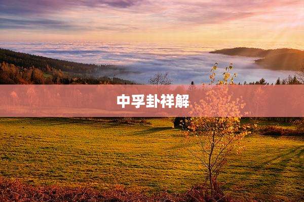 中孚卦祥解