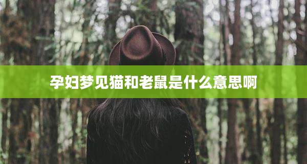 孕妇梦见猫和老鼠是什么意思啊