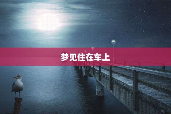 梦见住在车上