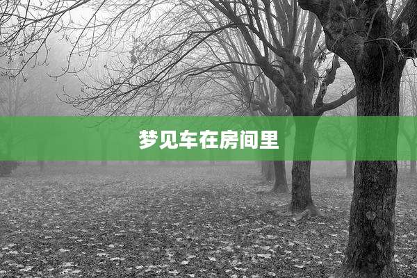 梦见车在房间里