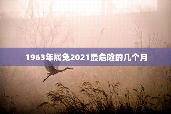 1963年属兔2021最危险的几个月