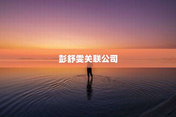 彭舒雯关联公司
