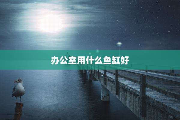 办公室用什么鱼缸好