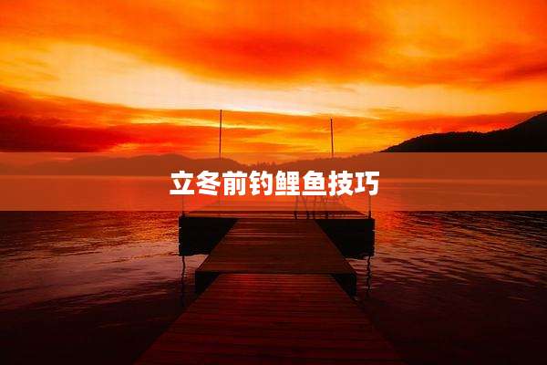 立冬前钓鲤鱼技巧