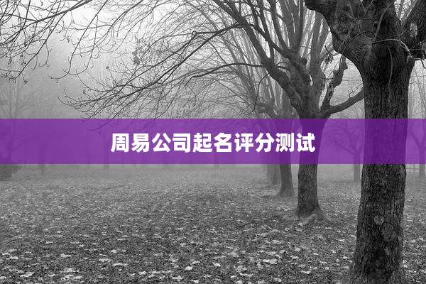 周易公司起名评分测试
