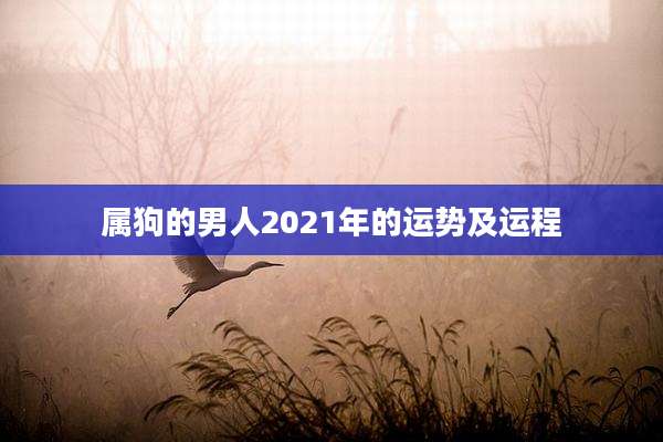 属狗的男人2021年的运势及运程