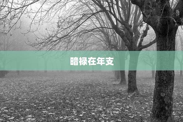 暗禄在年支