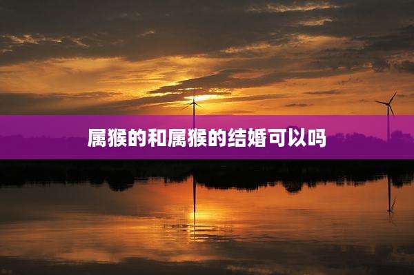 属猴的和属猴的结婚可以吗