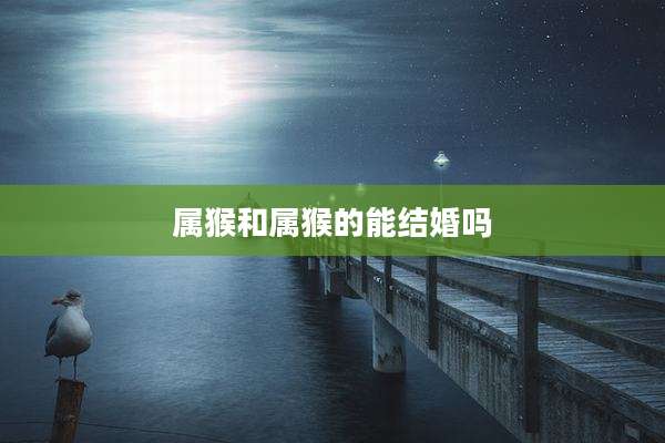 属猴和属猴的能结婚吗