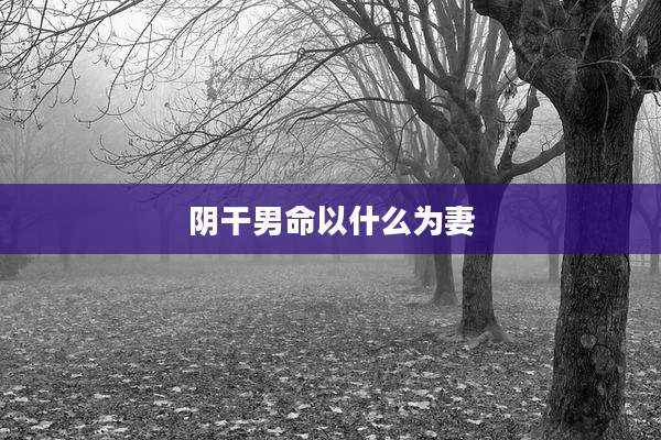 阴干男命以什么为妻