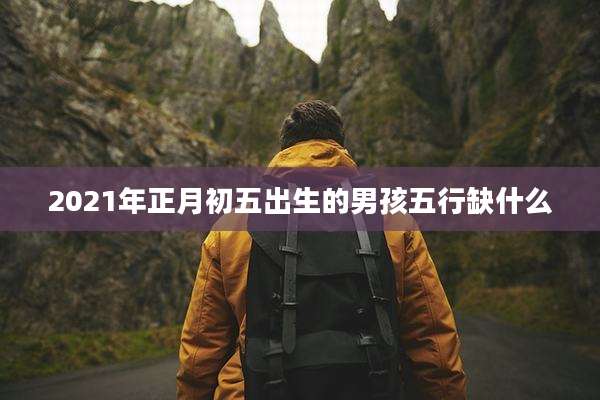 2021年正月初五出生的男孩五行缺什么