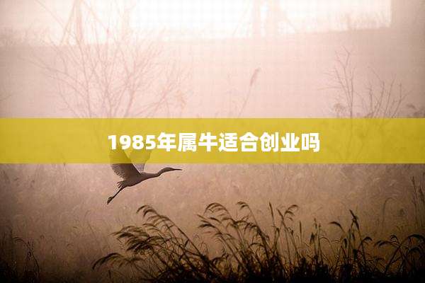 1985年属牛适合创业吗