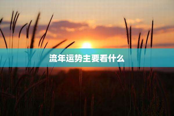 流年运势主要看什么