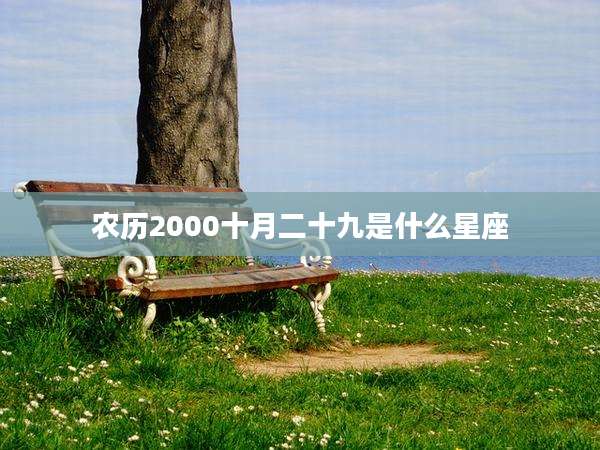 农历2000十月二十九是什么星座