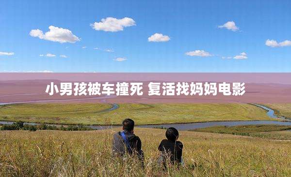 小男孩被车撞死 复活找妈妈电影