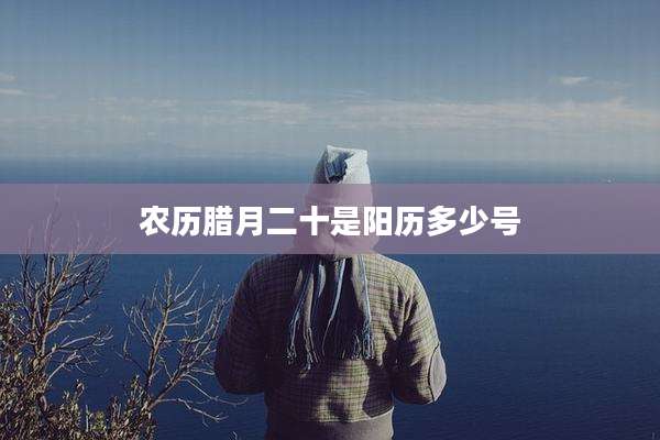 农历腊月二十是阳历多少号