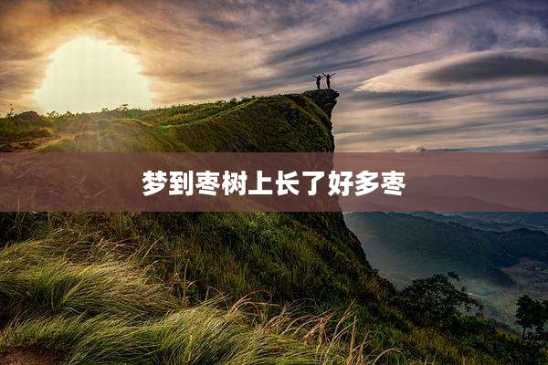 梦到枣树上长了好多枣