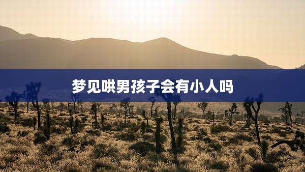 梦见哄男孩子会有小人吗
