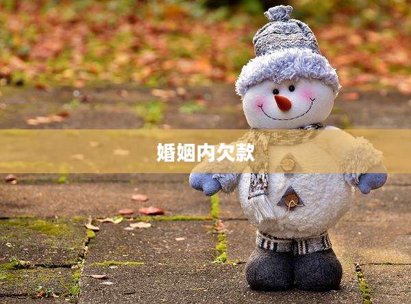 婚姻内欠款
