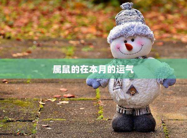 属鼠的在本月的运气