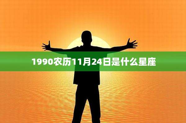 1990农历11月24日是什么星座