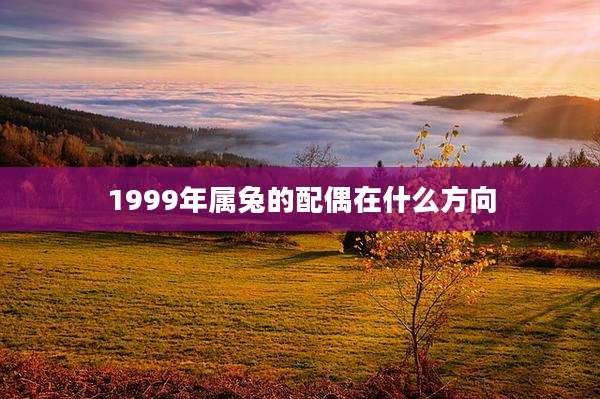 1999年属兔的配偶在什么方向