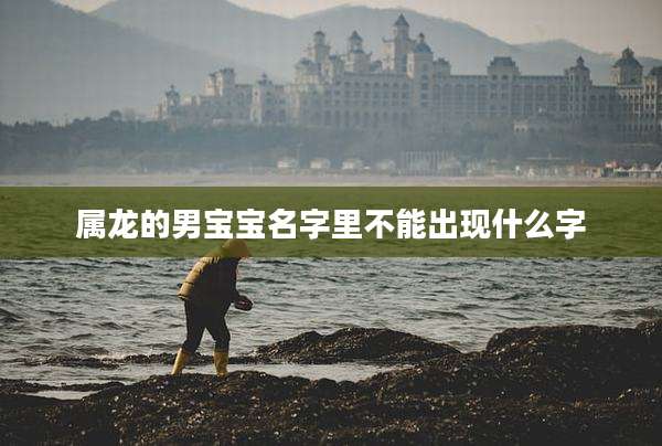 属龙的男宝宝名字里不能出现什么字