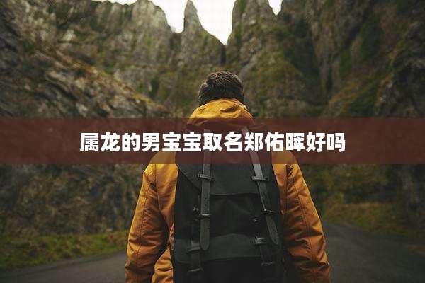属龙的男宝宝取名郑佑晖好吗