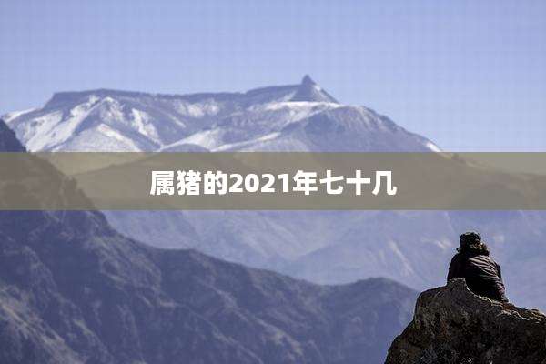 属猪的2021年七十几