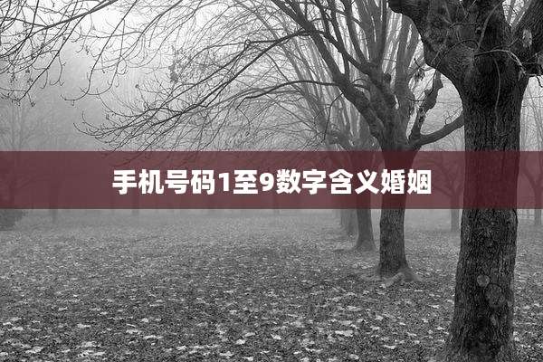 手机号码1至9数字含义婚姻
