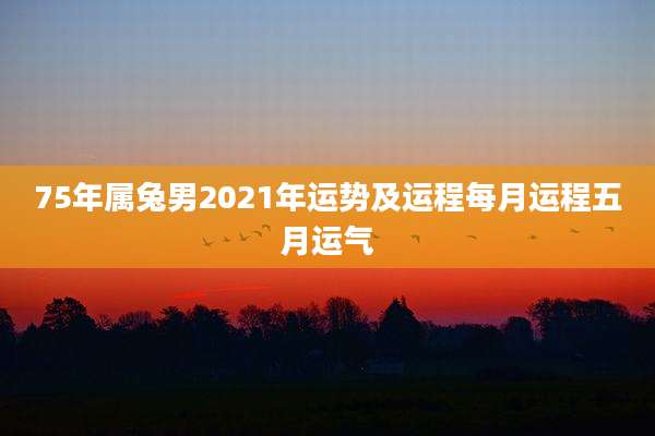 75年属兔男2021年运势及运程每月运程五月运气