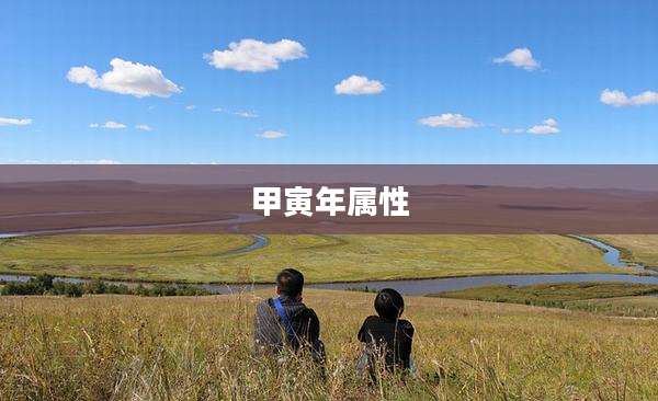 甲寅年属性