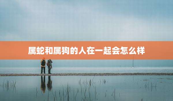 属蛇和属狗的人在一起会怎么样