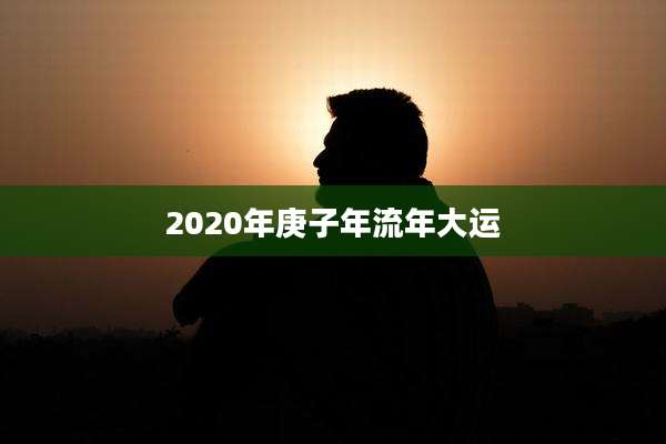 2020年庚子年流年大运