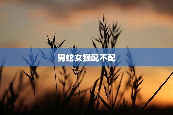 男蛇女猴配不配