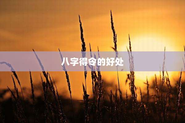 八字得令的好处