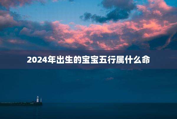 2024年出生的宝宝五行属什么命