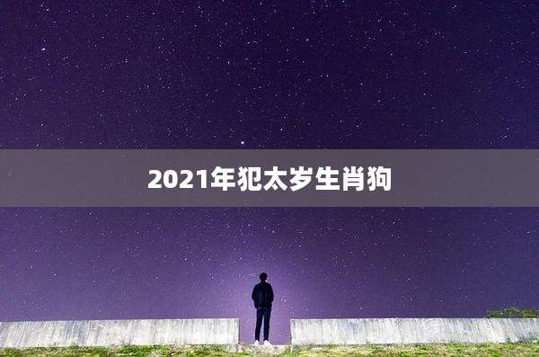 2021年犯太岁生肖狗